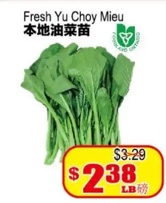 Yuan Ming Supermarket Fresh Yu Choy Mieu offer