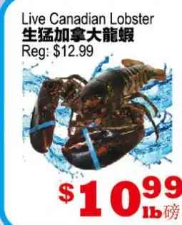 Yuan Ming Supermarket Live Canadian Lobster offer