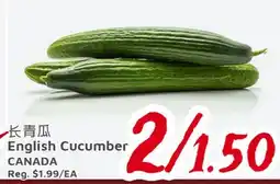 United Supermarket English Cucumber offer