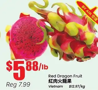 Terra Foodmart Red Dragon Fruit offer