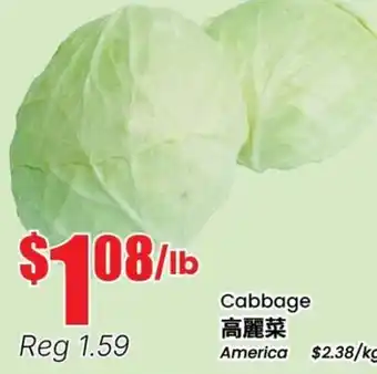 Terra Foodmart Cabbage offer