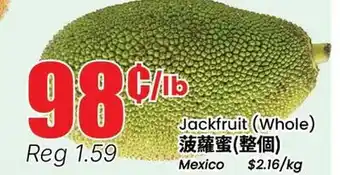 Terra Foodmart Jackfruit (Whole) offer