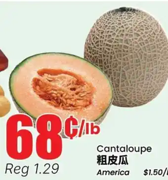 Terra Foodmart Cantaloupe offer