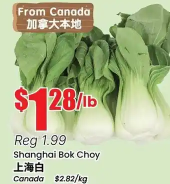 Terra Foodmart Shanghai Bok Choy offer