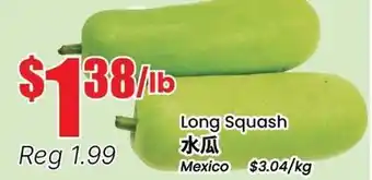 Terra Foodmart Long Squash offer