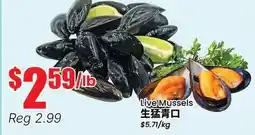 Terra Foodmart Live Mussels offer