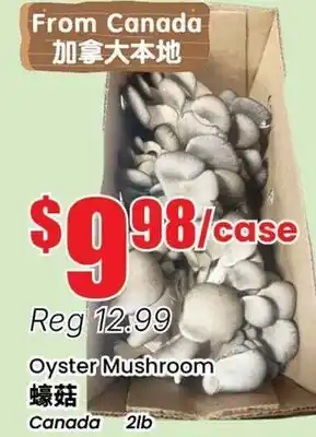 Terra Foodmart Oyster Mushroom offer