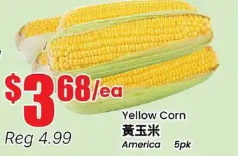 Terra Foodmart Yellow Corn offer