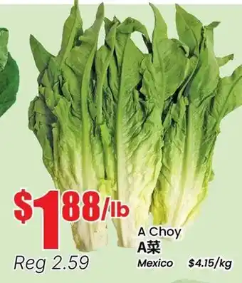 Terra Foodmart A Choy offer