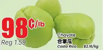 Terra Foodmart Chayote offer