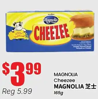 Terra Foodmart MAGNOLIA Cheezee offer