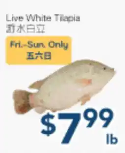 Oceans Fresh Food Market Live White Tilapia offer