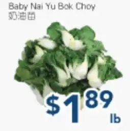 Oceans Fresh Food Market Baby Nai Yu Bok Choy offer