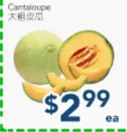 Oceans Fresh Food Market Cantaloupe offer