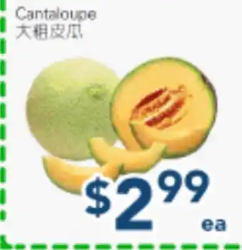 Oceans Fresh Food Market Cantaloupe offer