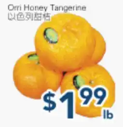 Oceans Fresh Food Market Orri Honey Tangerine offer