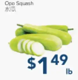 Oceans Fresh Food Market Opo Squash offer