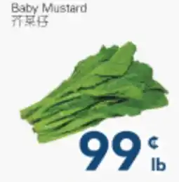 Oceans Fresh Food Market Baby Mustard offer