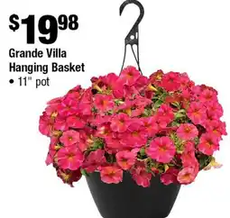 Home Depot Grade villa hanging basket 11 pot offer