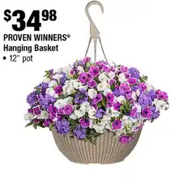 Home Depot Proven hanging basket 12 pot offer