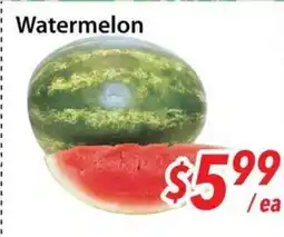 Bestco Food Mart Watermelon offer