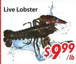 Bestco Food Mart Live Lobster offer