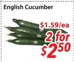 Bestco Food Mart English Cucumber offer