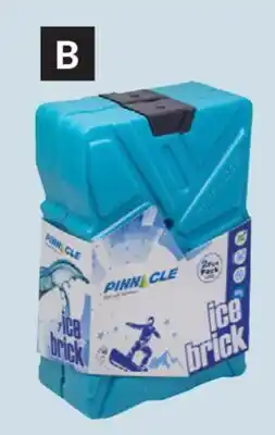 Princess Auto 2 Pk Reusable Freezer Ice Bricks offer
