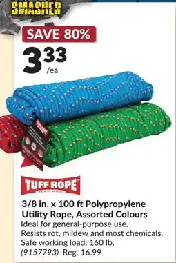 Princess Auto 3/8 in. x 100 ftPolypropylene Utility Rope, Assorted Colours offer
