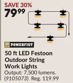 Princess Auto 50 ftLED Festoon Outdoor String Work Lights offer