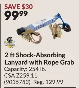 Princess Auto 2 ftShock-Absorbing Lanyard with Rope Grab offer