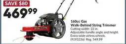 Princess Auto 160cc Gas Walk-Behind String Trimmer offer