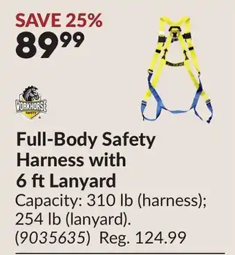Princess Auto Full-Body Safety Harness with 6 ftLanyard offer