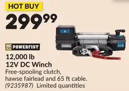 Princess Auto 12,000 lb 12V DC Winch offer