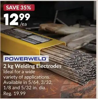 Princess Auto 2 kg Welding Electrodes offer
