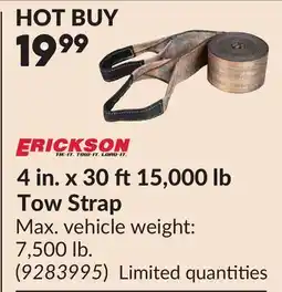 Princess Auto 4 in. x 30 ft15,000 lb Tow Strap offer