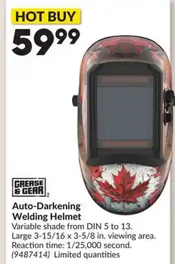 Princess Auto Auto-Darkening Welding Helmet offer
