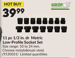 Princess Auto 11 pc 1/2 in. dr Metric Low-Profile Socket Set offer