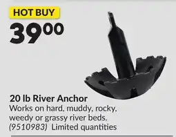 Princess Auto 20 lb River Anchor offer