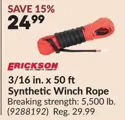 Princess Auto 3/16 in. x 50 Synthetic Winch Rope offer