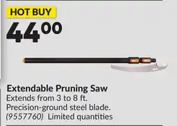 Princess Auto Extendable Pruning Saw offer
