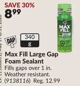 Princess Auto Max Fill Large Gap Foam Sealant offer