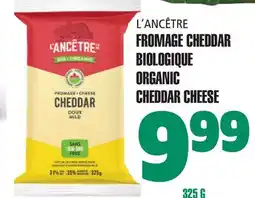 Marches Tau FROMAGE CHEDDAR BIOLOGIQUE L'ANCÊTRE offer