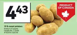 Giant Tiger 10 lb russet potatoes offer