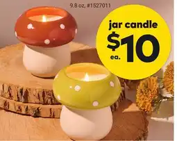 Giant Tiger jar candle offer