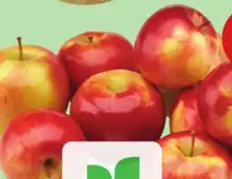 Giant Tiger 3 lb McIntosh apples offer