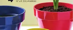 Giant Tiger Planter offer