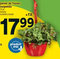 Super C panier de fraises suspendu | hanging strawberry basket offer