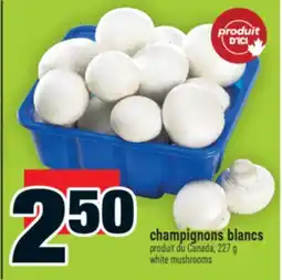 Super C champignons blancs | white mushrooms offer