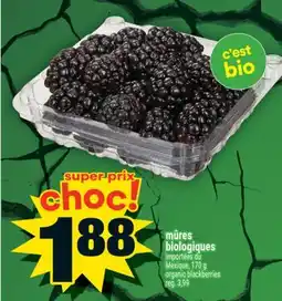 Super C mûres biologiques | organic blackberries offer